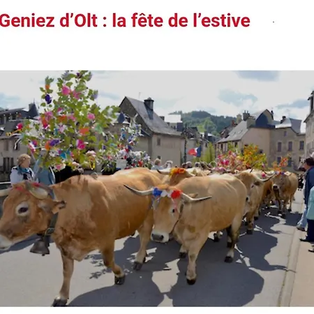 T2 Avec Piscine-le Family 67 *