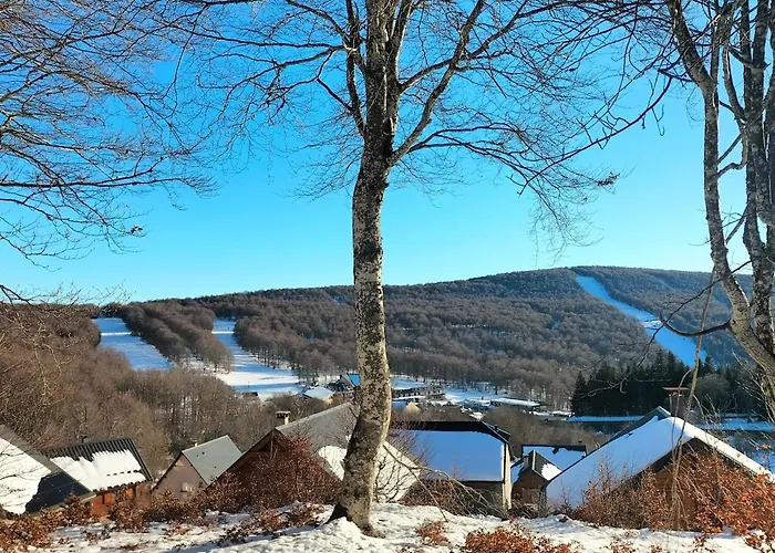 T2 Avec Piscine-le Family 67 * Pierrefiche (Aveyron)