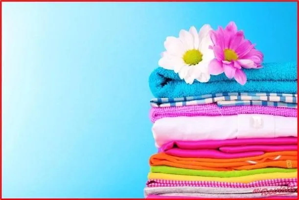 T2 Avec Piscine-le Family 67 아파트