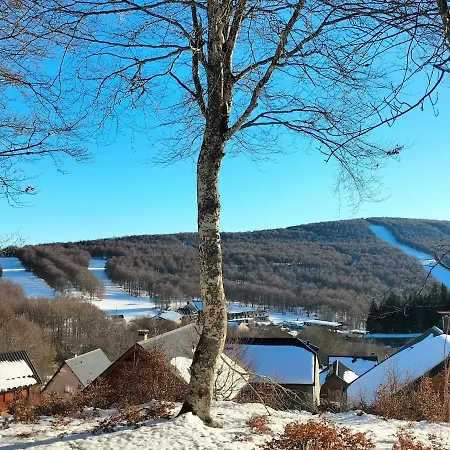 T2 Avec Piscine-le Family 67 * Pierrefiche (Aveyron)