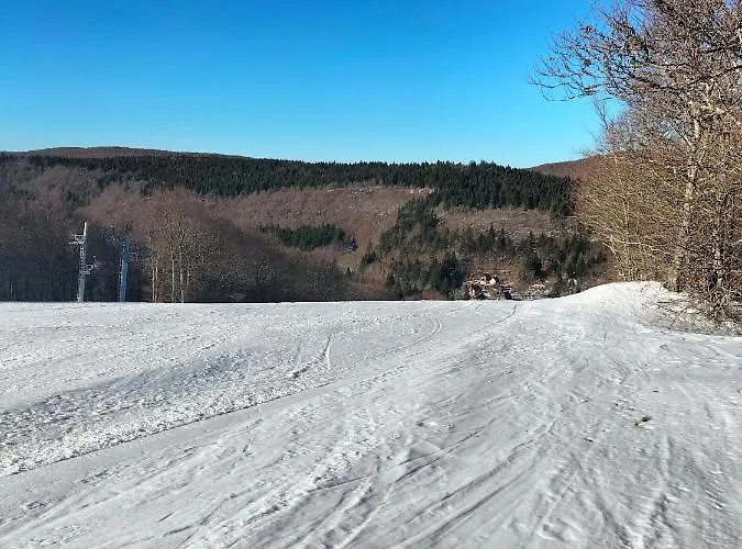 アパート T2 Avec Piscine-le Family 67 Pierrefiche