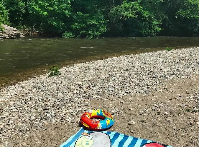 T2 Avec Piscine-le Family 67 アパート