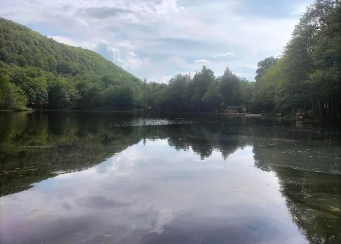 T2 Avec Piscine-le Family 67 アパート